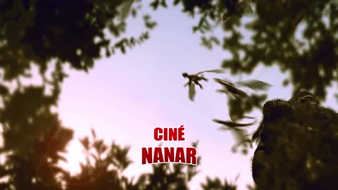 cinenanar-fr